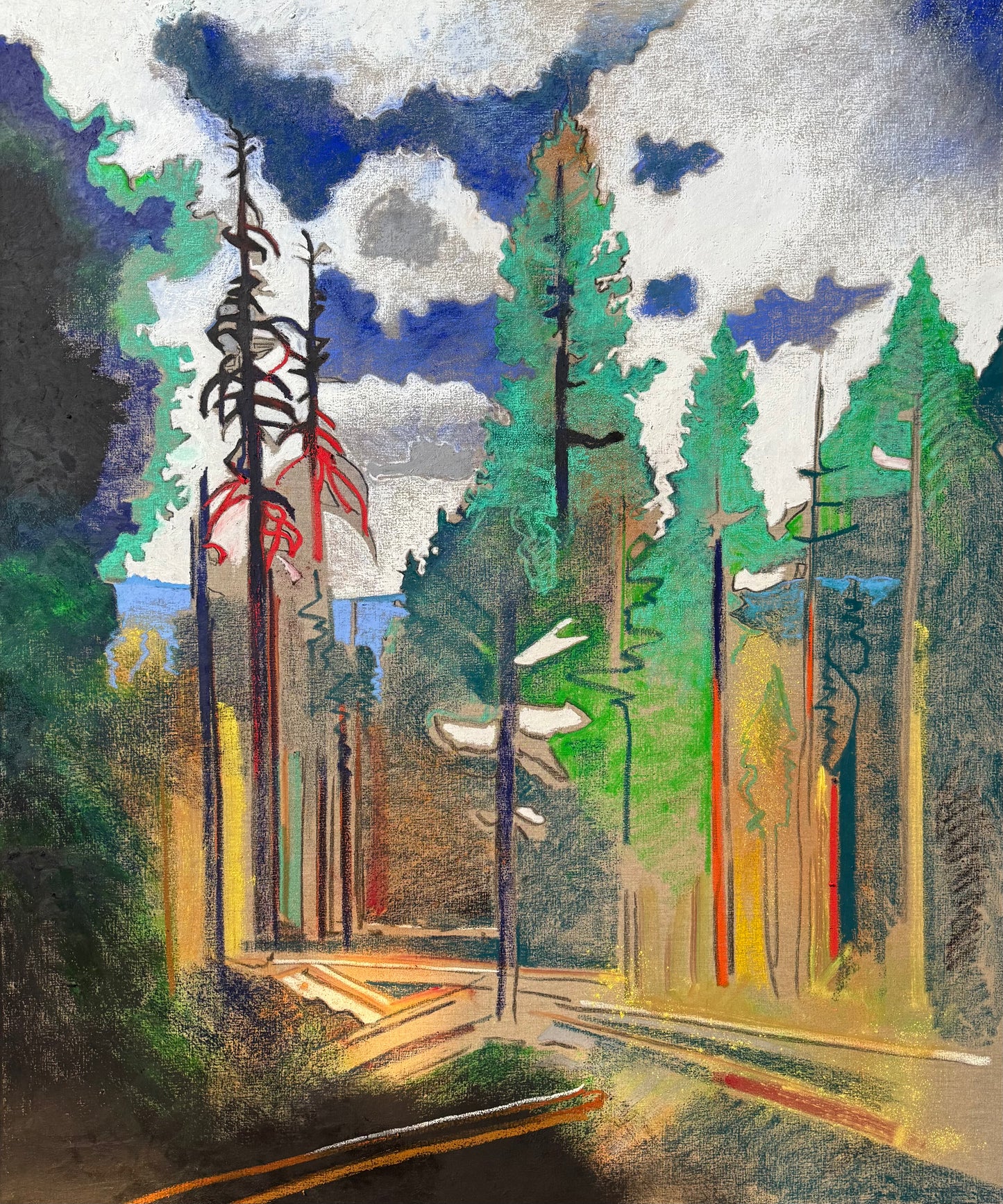 Stanislaus Forest